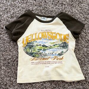 Urban Outfitters baby Tshirt National Park Raglan T-Shirt